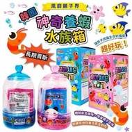 預訂8月初【韓國 養蝦水族館】