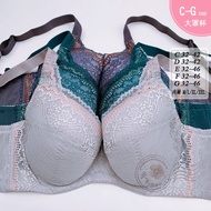 MIT Discontinued Fina High Performance Large Size Underwear [E/F/G 32~44] 8816 Cup Concentrated Full