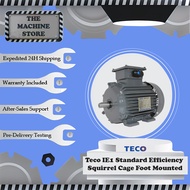 Teco IE1 Standard Efficiency Squirrel Cage Induction Motor  IE2 *20 HP 15KW* 380-415V IP55 Foot Moun