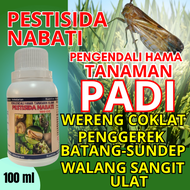 Pestisida Obat Hama Padi / Hama Wereng Sundep Beluk / Obat Semprot Hama Ulat Grayak Penggerek batang