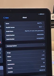 Ipad Pro 11 inch 4th gen 256gb
