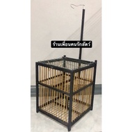 Square Bird Trap