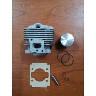 3WZ-4 / 1E34 Blot (34MM)