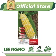 JT122 JAGUNG MANIS BI-COLOR BIJI BENIH SAYUR BUAH (30 SEEDS)/SWEET CORN BI-COLOR DOUBLE JOY VEGETABL
