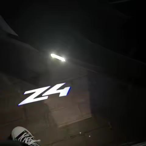 2Pcs LED Car Door Welcome Lights Projector Courtesy Lamp for BMW Z4 Series X1 X3 X4 X6 E91 I3 I4 F30