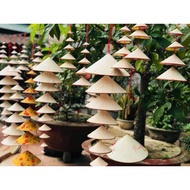 5 wire conical hats with 7 decorative conical hats