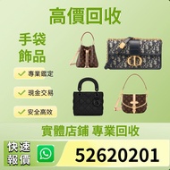 LV neverfull  BB/LV 法棍 牛角/LV speedy nano 20/lv Diane/LV neonoe BB/Dior mini lady Dior/Dior saddle/蒙田