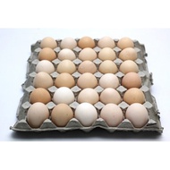 Eggs-Kampung Tray of 30