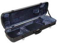 ㊣東方人 Eastman Master Violin Carbon case 碳纖維 美國
