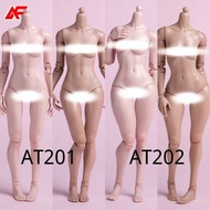 Worldbox At201 At202 At203 1/6 Scale Female Super Flexible Joint Body With Makeup Effect 12'' Actio