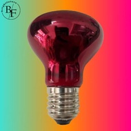 LED Night Light UVA Infrared Heating Bulb Red Reptile Suitable For Snakes, Lizards And Reptiles