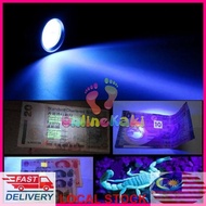 Stable Cree Q5 Flashlight UV LED Light Torch UV Lamp