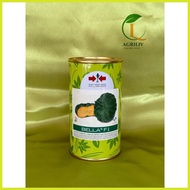 ◳ ▨ ☌ Bella F1 Hybrid Kalabasa Seeds 100grams (East-west Seed)