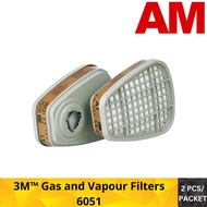 3M™ Gas and Vapour Filters 6051 (1 Packet)