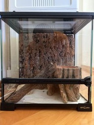 Reptizoo 30x20x30cm 爬蟲缸