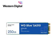 WD 藍標 SA510 250GB M.2 2280 SATA SSD