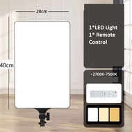 24นิ้ว ไฟสตูดิโอ ไฟไลฟ์สด LED Light ซอฟบ๊อก พร้อมรีโหมด ไฟสตูดิโอ ไฟถ่ายภาพ รีโมทแสงได้ ไฟต่อเนื่อง 