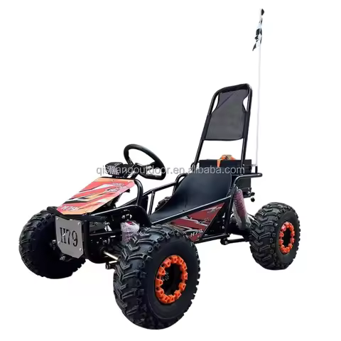 Electric 1000W 48V20Ah Go Kart Buggy Doppio Disco Freno Outdoor Per Bambini E Adulti 0-35km/h 30-40k