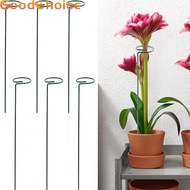 Plant Stakes Garden Orchid Lily Peony Stem Plant Support Easy To Use 6pcs