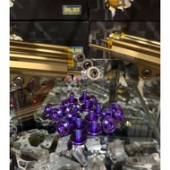 Purple Titanium Probolt Bolt Shield Exhaust