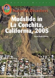 Mudslide in La Conchita, California, 2005 Karen Bush Gibson