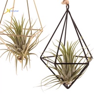 Sr Breathable Plant Stand Geometric Plant Stand Modern Geometric Glass Terrarium Plant Stand for Home Office Decor Southeast Asian Buyers' Favorite