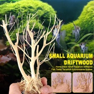 Pokok Kayu Aquascape / Aquascape Driftwood Moss Tree, Natural Wood - Ready Stock