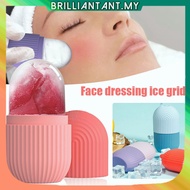 Silicone Face Ice Mold, Ice Roller, Face Massage, Face Ice Mold Cube Help Pain Relief Face Skin Care