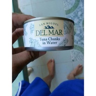 ﹉♨Del Mar Tuna Chunks In Water 185gm