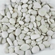 White Coral Stone 1 Sack 8 Kg/ Garden Decorative Stone