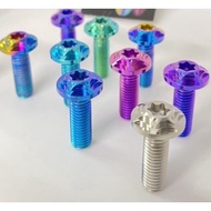 Screw Titanium GR5 8Ly25 Sample Salayaya 2-Storey Star, Footrest, HONDA Pig Shot