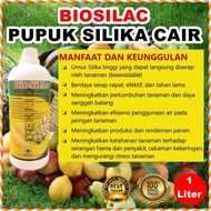 PROMO- PUPUK SILIKA CAIR MURNI BIOSILAC 1 L SILICA TANAMAN BUAH SAYUR HIAS -NAJENDRASTORE7