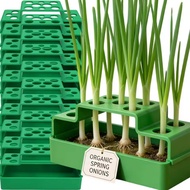 Scallion Hydroponic Planter - Soilless Cilantro Growing Pots - Garlic Seedling Case - Root Vegetable