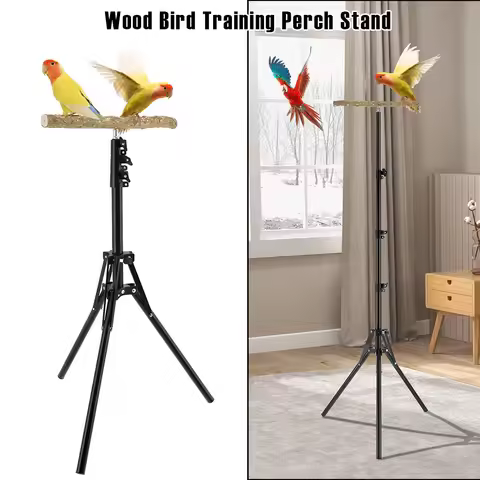 Wood Bird Training Perch Stand Height Adjustable Bird Perch Toys Indoor Outdoor Versatile Bird Parro