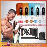 【SG】Anti-Snap Resistance Band Set / Pull Up Band / Stretch Band Fitness men and women Equipment