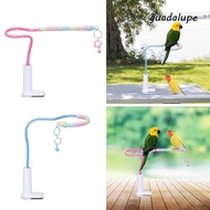GUADALUPE Bird Perch Stand, Stable Bird Training Perch