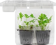 Soil Sunrise Live Plant Shippers 3.5-Inch (10-Pack); Clamshells for Two 3.5in Pots w/ 3.5in Foliage
