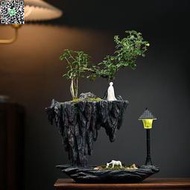 綠植花盆 茶桌六月雪室內花卉盆 四季常青植物盆 懸崖造型花盆 中式盆栽好養