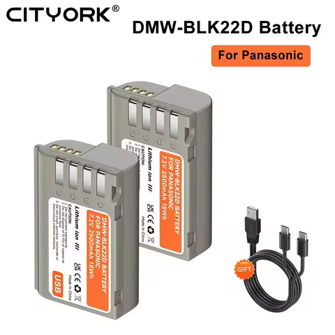 2500mAh DMW-BLK22 BLK22 Battery With Type-C USB For Panasonic LUMIX DC-S5 DC-S5 II DC-S5 IIX S5KL DC