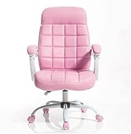 BJDST Computer Chair Gaming Chair Girl Heart Pink Net Red Chair Cute Princess Live Lifting Chair Swivel Chair