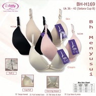 LIDILY Nursing Bra H169 Nursing Bra Foam No Wire Plain Buttons Size. 36 - 42