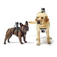 Keystone 寵物POV拍攝綁帶 for GoPro
