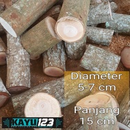 Mahogany Wood Log 5-7 cm Length 15 cm Mahogany Log Wood Piece (WL-13)