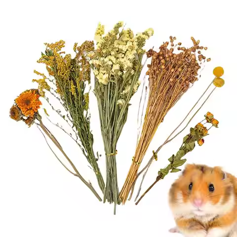 Dried Flowers And Plant Bedding Hamster Deodorizing Bedding Pet Bedding Hamster Cage Landscaping Sup