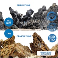 DRAGON STONE / OHKO ROCK / SEIRYU STONE / DECORATION AQUARIUM - aquascape - aquarium - paludarium - 
