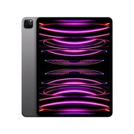 【APPLE】IPAD PRO 12.9 WIFI 256GB 太空灰_廠商直送