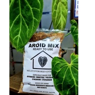 AROID MIX ( READY TO USE ) 🍀 SOIL MIX BY MELATI EVERGREEN 🍀