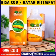 Obat Kusta - Lepra - Kusta Kering - Kusta Basah - Obat Penyakit Kulit - Qnc Jelly Gamat Asli 100%