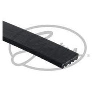 Front Engine Belt 5PK MAZDA 323 PROTEGE BJ 1.8 626 GE 1.8 FORD LASER TIERRA 1.8 FP BP 1.8