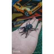 Atlas Beetle Miniature 5